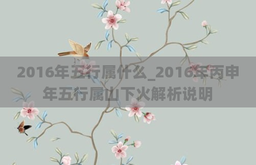 2016年五行属什么_2016年丙申年五行属山下火解析说明