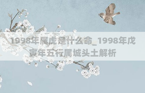 1998年属虎是什么命_1998年戊寅年五行属城头土解析