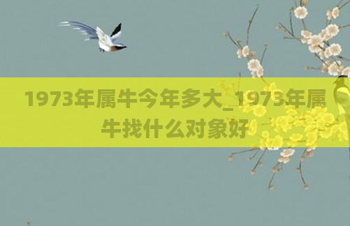 1973年属牛今年多大_1973年属牛找什么对象好