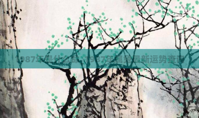 1987年是什么命_1987年属兔最新运势查询