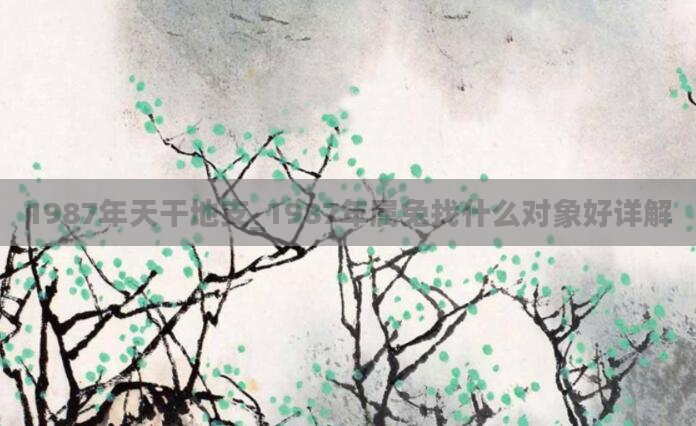 1987年天干地支_1987年属兔找什么对象好详解