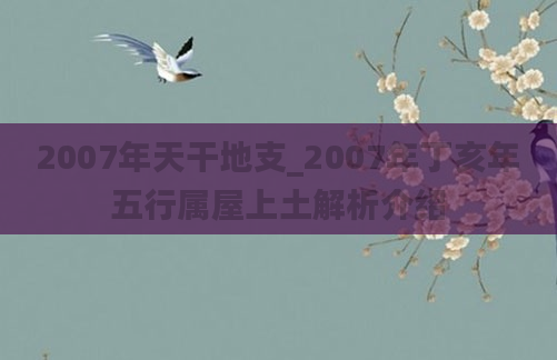 2007年天干地支_2007年丁亥年五行属屋上土解析介绍
