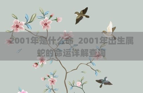 2001年是什么命_2001年出生属蛇的命运详解查询