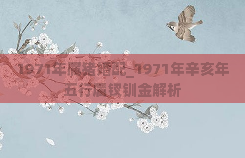 1971年属猪婚配_1971年辛亥年五行属钗钏金解析
