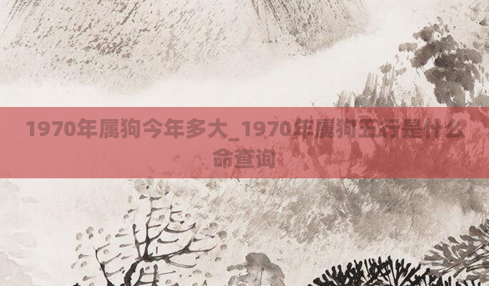 1970年属狗今年多大_1970年属狗五行是什么命查询