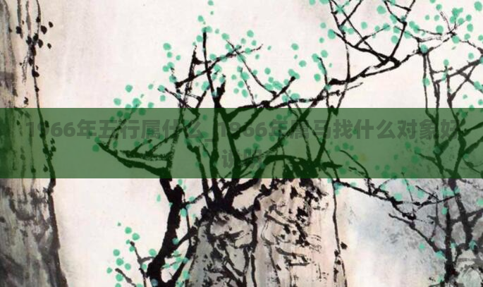 1966年五行属什么_1966年属马找什么对象好说明