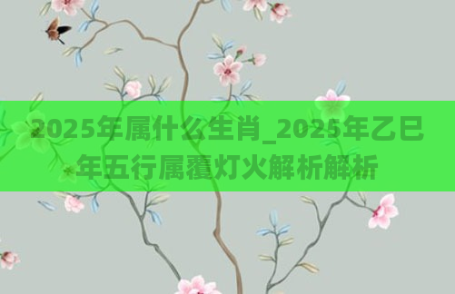 2025年属什么生肖_2025年乙巳年五行属覆灯火解析解析