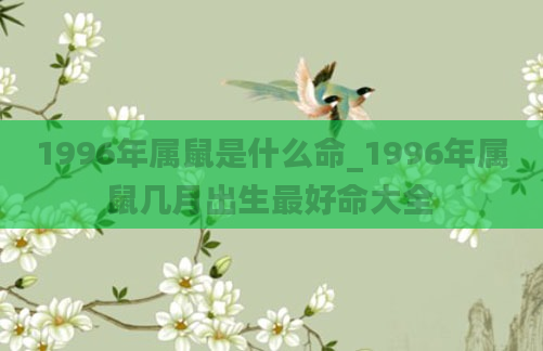 1996年属鼠是什么命_1996年属鼠几月出生最好命大全