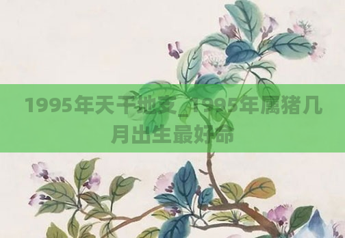 1995年天干地支_1995年属猪几月出生最好命
