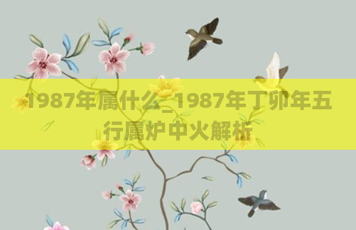 1987年属什么_1987年丁卯年五行属炉中火解析