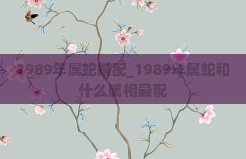 1989年属蛇婚配_1989年属蛇和什么属相最配