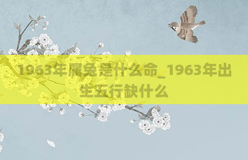 1963年属兔是什么命_1963年出生五行缺什么