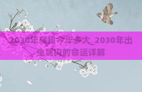 2030年属狗今年多大_2030年出生属狗的命运详解