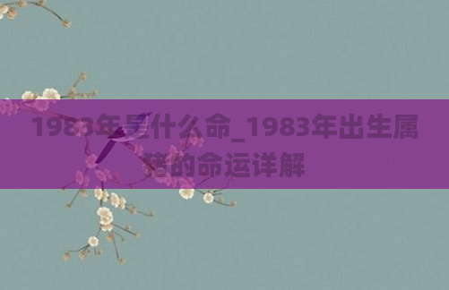 1983年是什么命_1983年出生属猪的命运详解