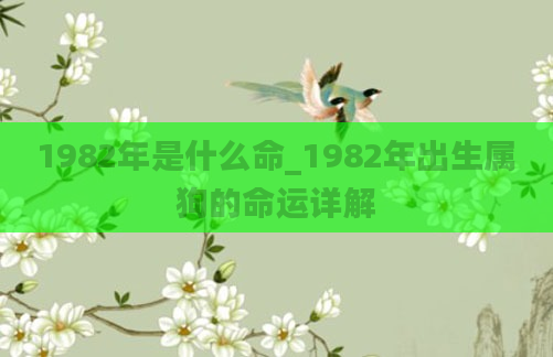 1982年是什么命_1982年出生属狗的命运详解