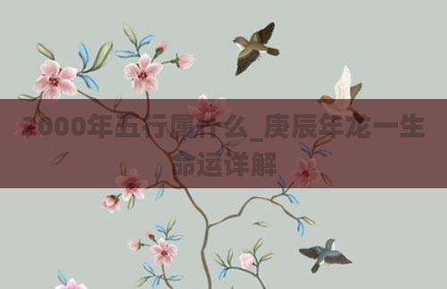 2000年五行属什么_庚辰年龙一生命运详解