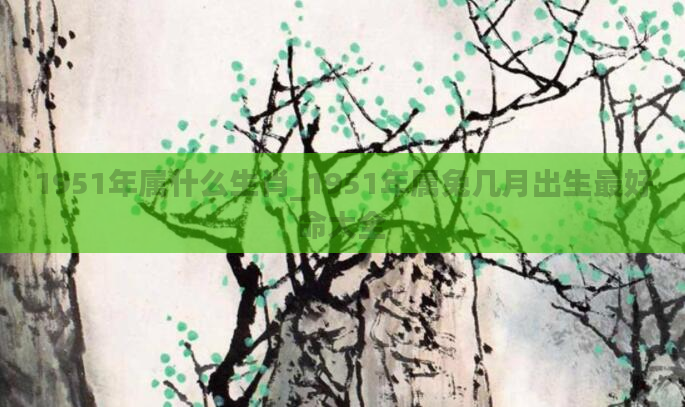 1951年属什么生肖_1951年属兔几月出生最好命大全