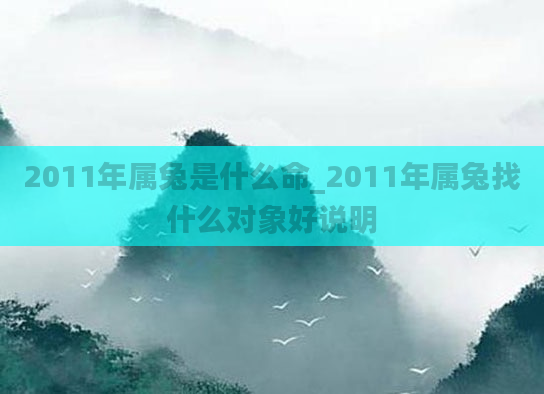 2011年属兔是什么命_2011年属兔找什么对象好说明