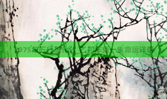 1975年五行属什么_乙卯年兔一生命运详解