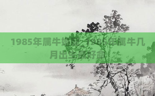 1985年属牛婚配_1985年属牛几月出生最好命