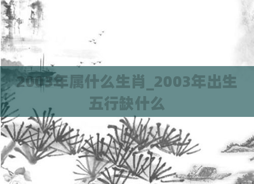 2003年属什么生肖_2003年出生五行缺什么
