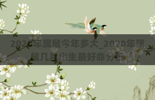 2020年属鼠今年多大_2020年属鼠几月出生最好命分析
