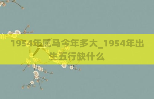 1954年属马今年多大_1954年出生五行缺什么
