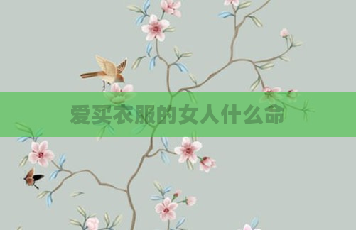 爱买衣服的女人什么命