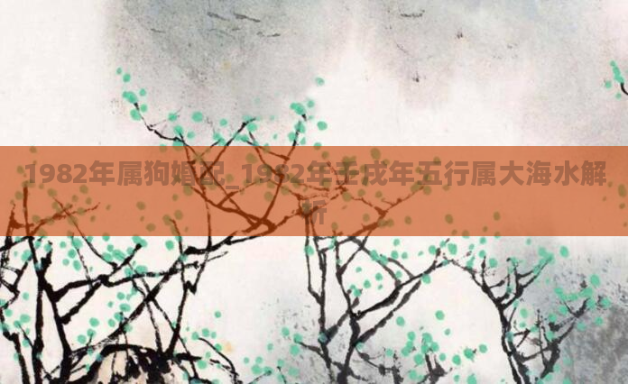 1982年属狗婚配_1982年壬戌年五行属大海水解析