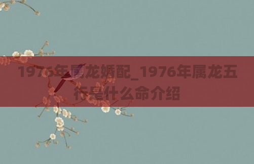 1976年属龙婚配_1976年属龙五行是什么命介绍