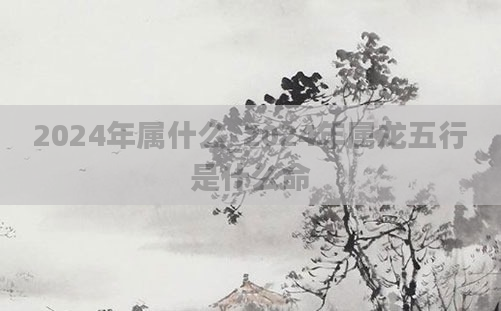 2024年属什么_2024年属龙五行是什么命