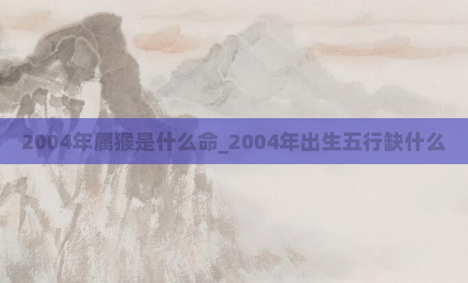 2004年属猴是什么命_2004年出生五行缺什么