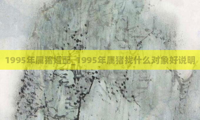 1995年属猪婚配_1995年属猪找什么对象好说明