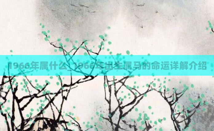 1966年属什么_1966年出生属马的命运详解介绍