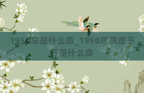 1950年是什么命_1950年属虎五行是什么命