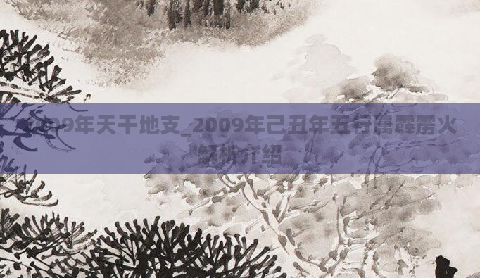 2009年天干地支_2009年己丑年五行属霹雳火解析介绍