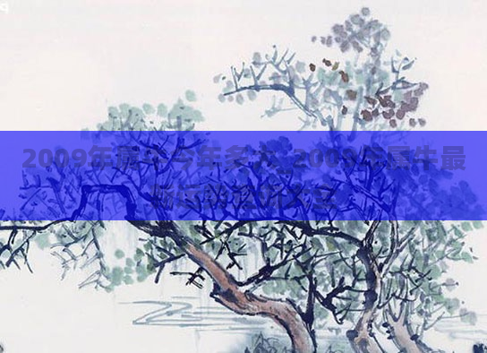 2009年属牛今年多大_2009年属牛最新运势查询大全