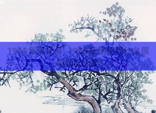 1965年属什么_1965年属蛇和什么属相最配大全