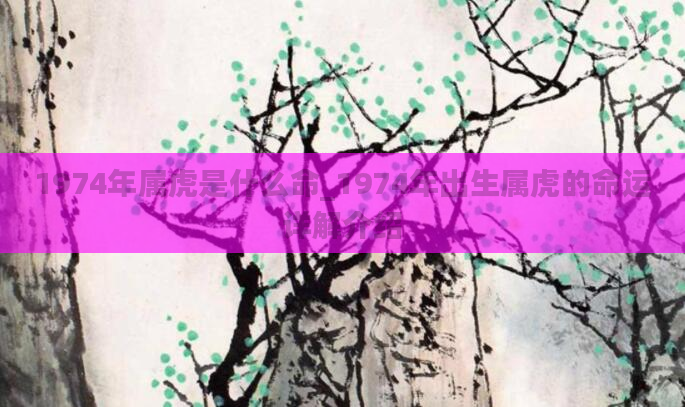 1974年属虎是什么命_1974年出生属虎的命运详解介绍
