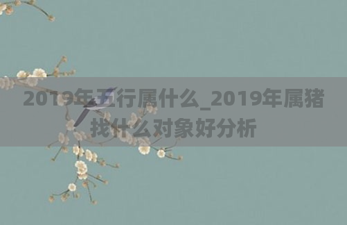 2019年五行属什么_2019年属猪找什么对象好分析