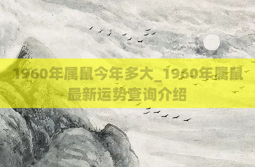 1960年属鼠今年多大_1960年属鼠最新运势查询介绍