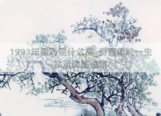 1993年属鸡是什么命_癸酉年鸡一生命运详解说明