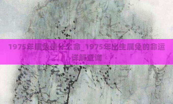 1975年属兔是什么命_1975年出生属兔的命运详解查询