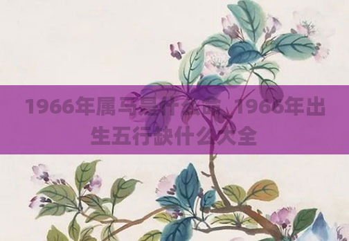 1966年属马是什么命_1966年出生五行缺什么大全