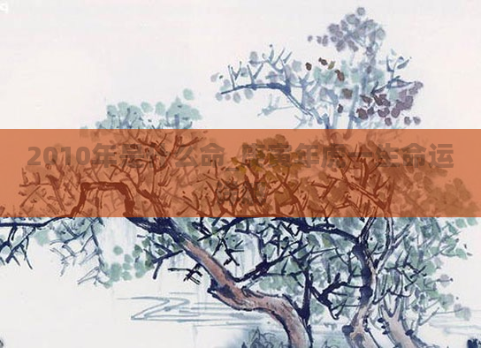 2010年是什么命_庚寅年虎一生命运详解