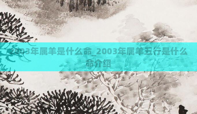 2003年属羊是什么命_2003年属羊五行是什么命介绍