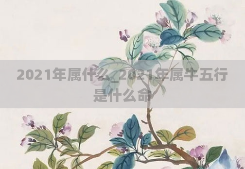 2021年属什么_2021年属牛五行是什么命