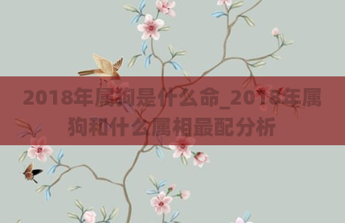 2018年属狗是什么命_2018年属狗和什么属相最配分析