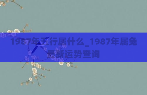 1987年五行属什么_1987年属兔最新运势查询