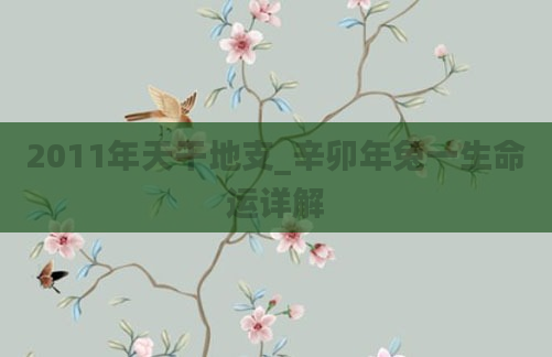 2011年天干地支_辛卯年兔一生命运详解